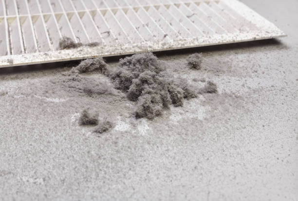 Best HVAC System Cleaning  in Linwood, PA